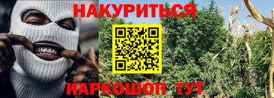 индика Тверь