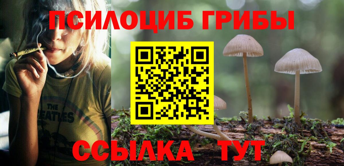 Галлюциногенные грибы мухоморы Гагарин