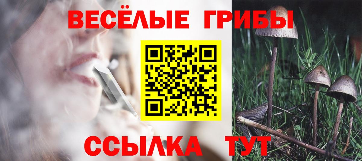Псилоцибиновые грибы мухоморы  Вход с VPN  Галлюциногенные грибы мицелий  Гагарин 